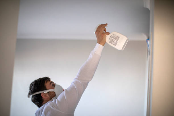 Best Mold Testing and Inspection Services in Hernando Beach, FL